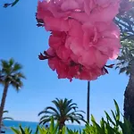 Cantinho Do Sol - Sea View, Quiet, Cozy And Relaxing Flat Апартаменты Армасан-де-Пера