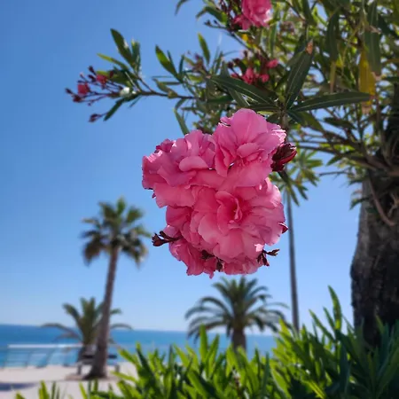 Cantinho Do Sol - Sea View, Quiet, Cozy And Relaxing Flat Apartment